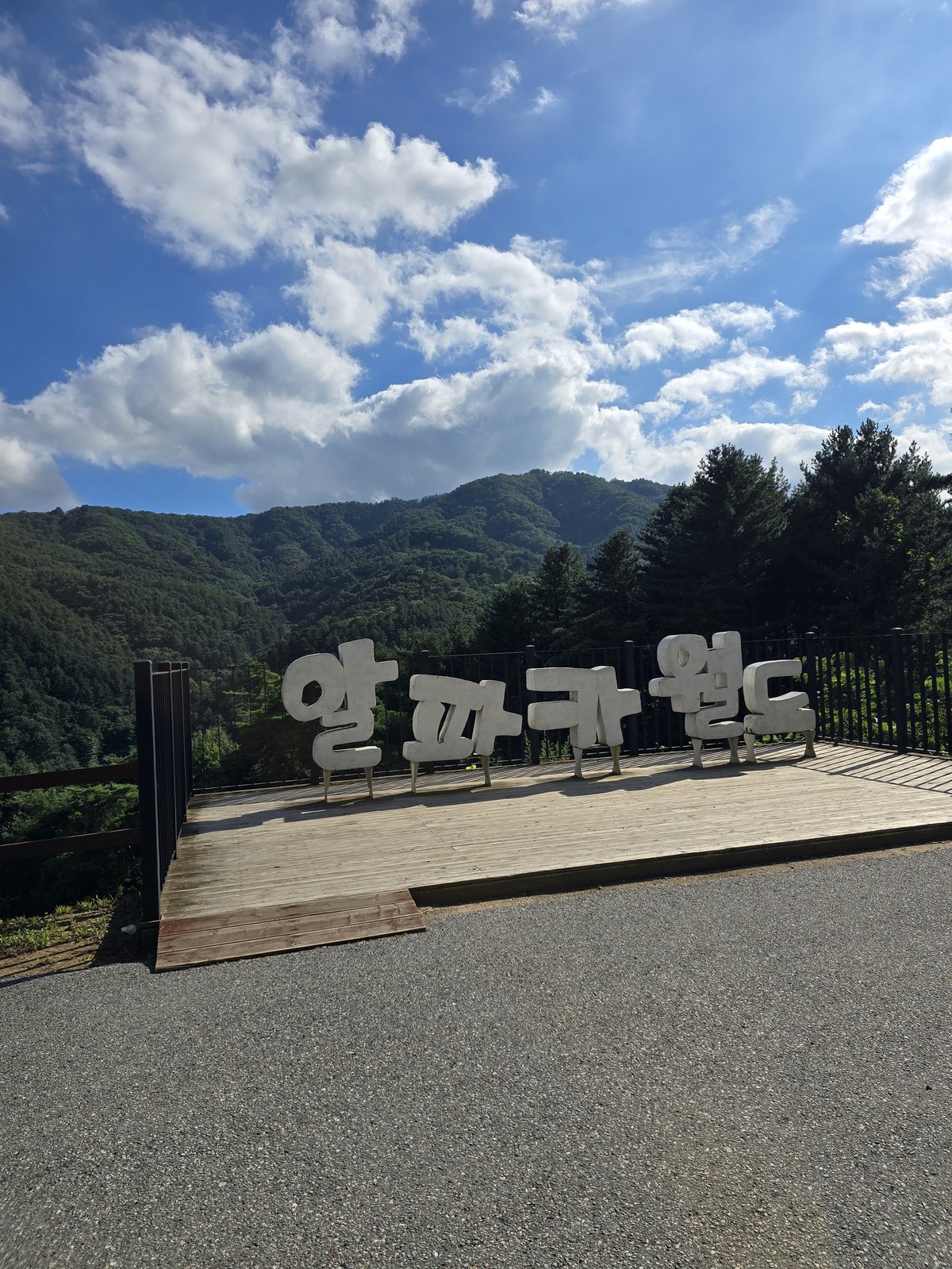 알파카월드 파카코인 먹이체험을 하러 간 홍천 알파카월드 조형물 간판