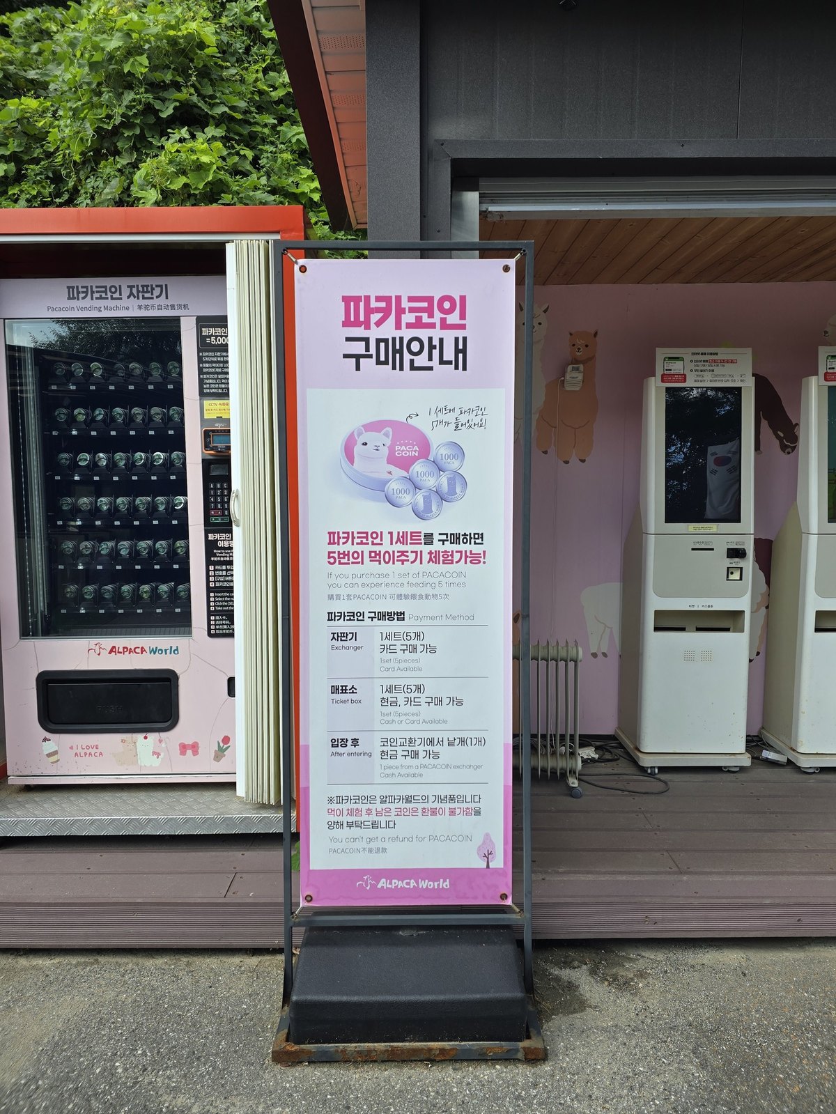 알파카월드 파카코인 구매안내 배너