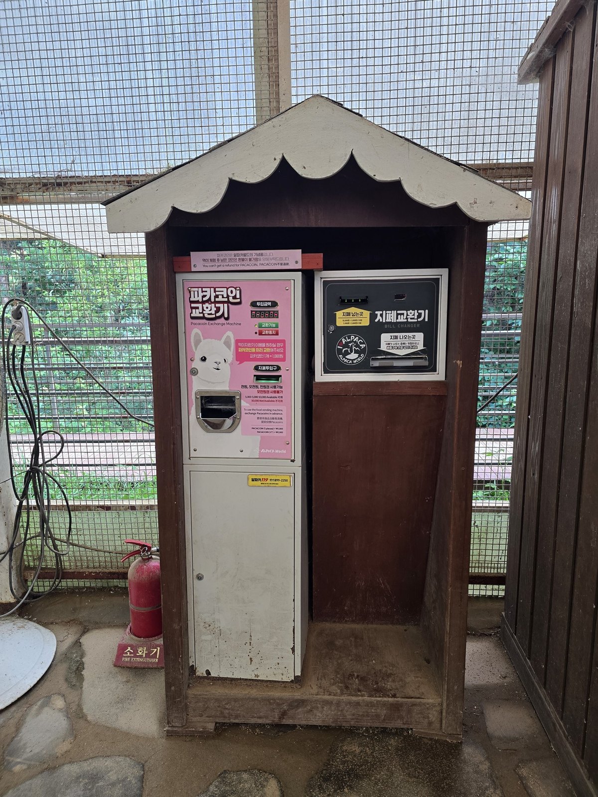 알파카월드 파카코인 코인교환기와 지폐교환기