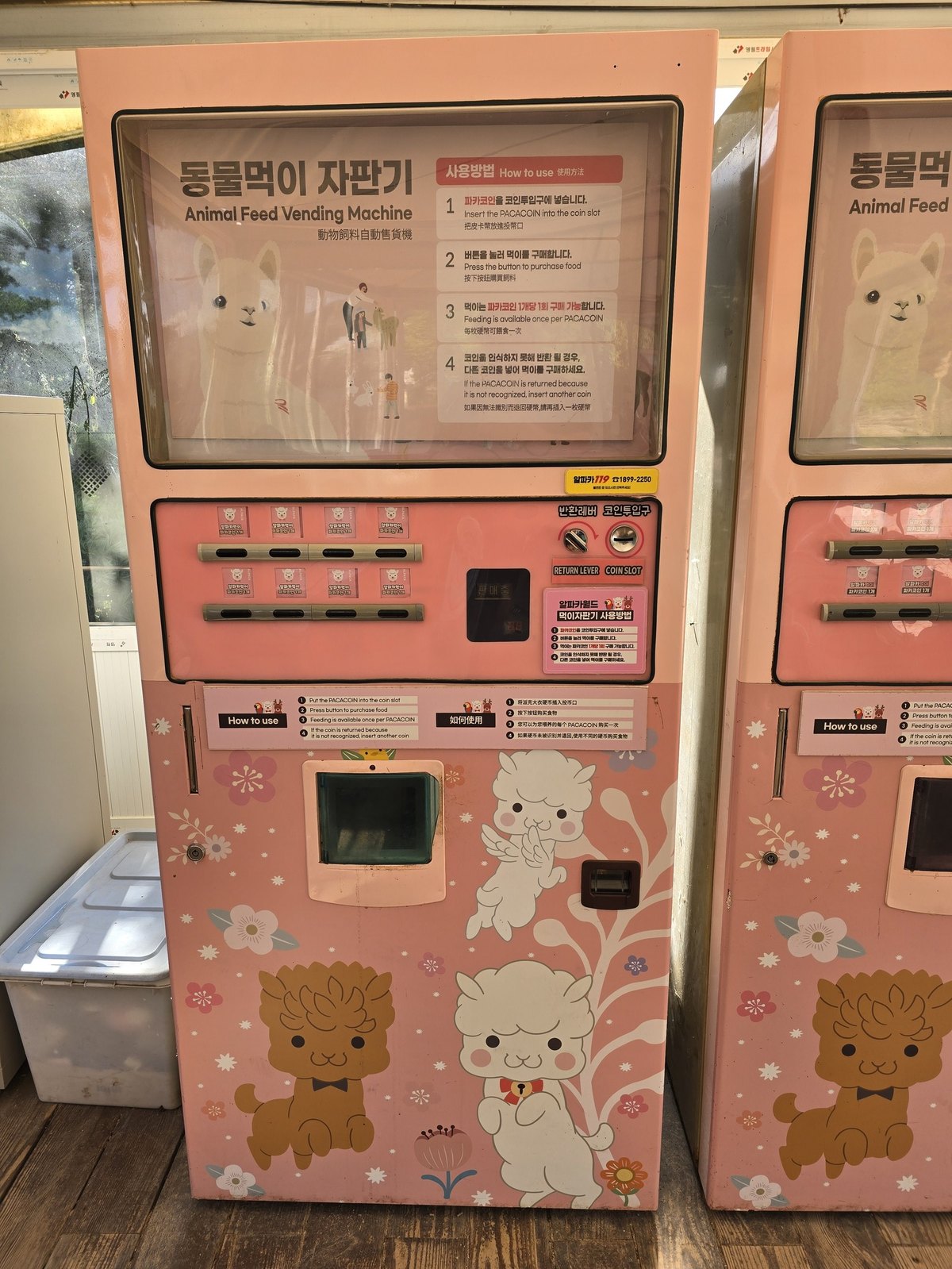 알파카월드 파카코인으로 먹이가 나오는 동물먹이 자판기