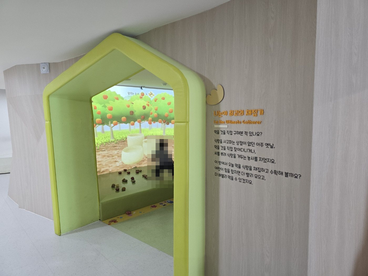 국립춘천박물관 어린이박물관 나는야 최고의 채집가 터널