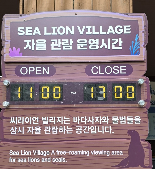 에버랜드 씨라이언 빌리지 자율 관람 운영시간 안내판