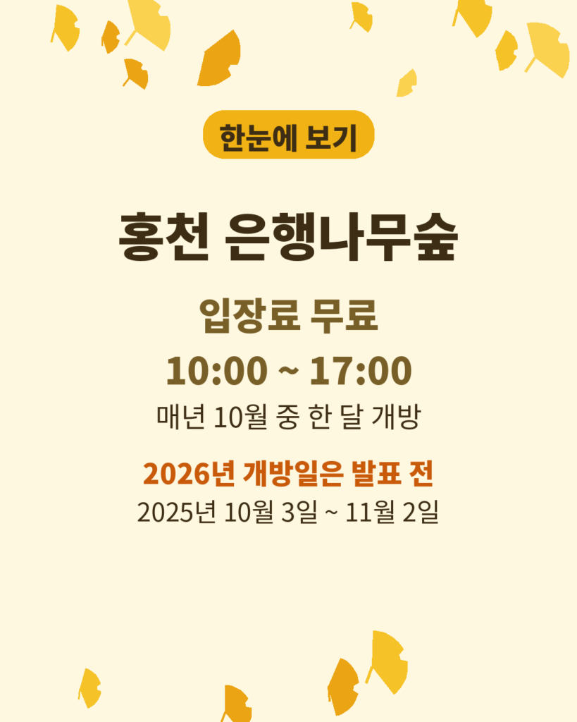 홍천 은행나무숲 입장료 무료, 개방 시간 10시부터 17시, 매년 10월 한 달 개방을 정리한 노란 정보 카드