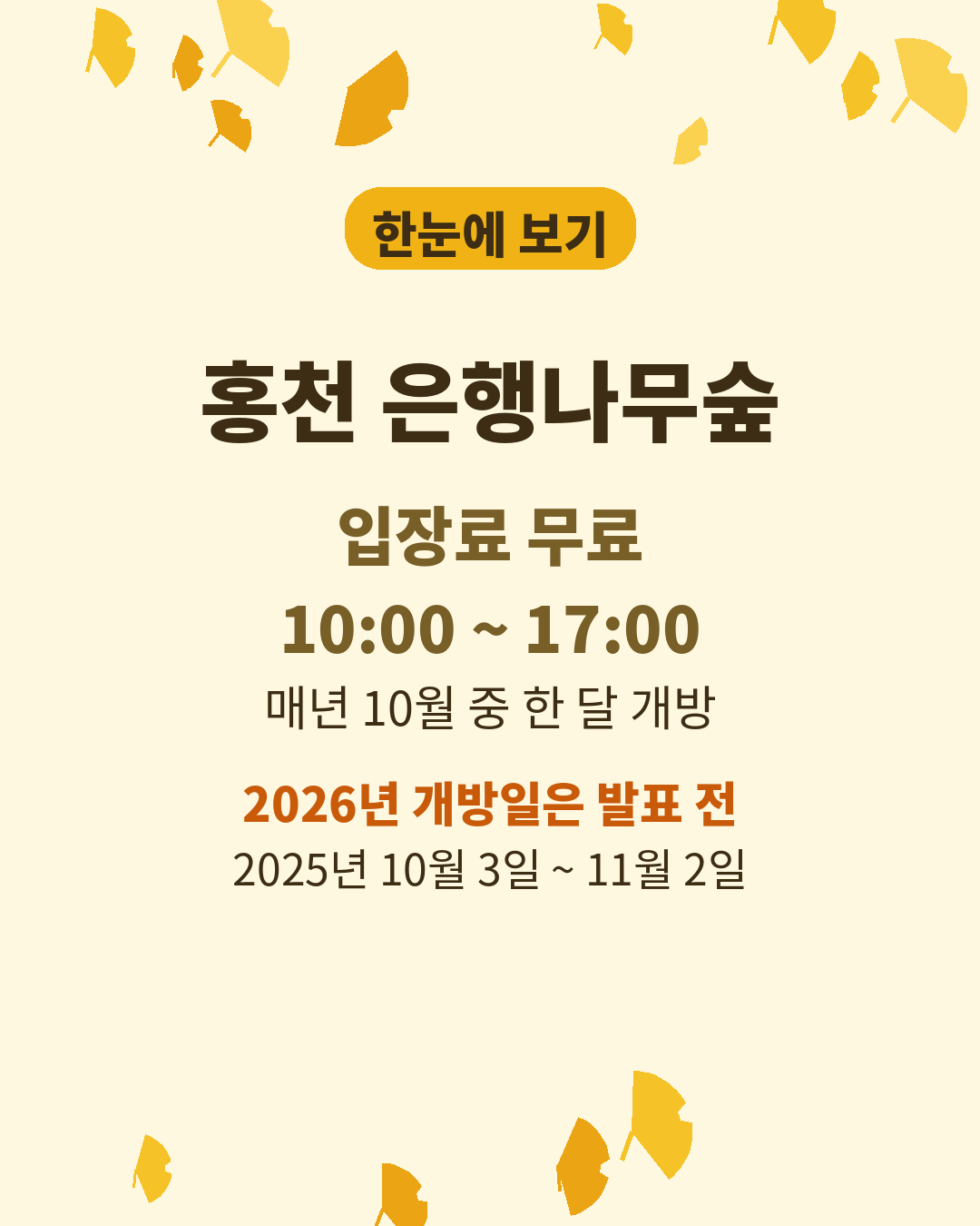 홍천 은행나무숲 입장료 무료, 개방 시간 10시부터 17시, 매년 10월 한 달 개방을 정리한 노란 정보 카드