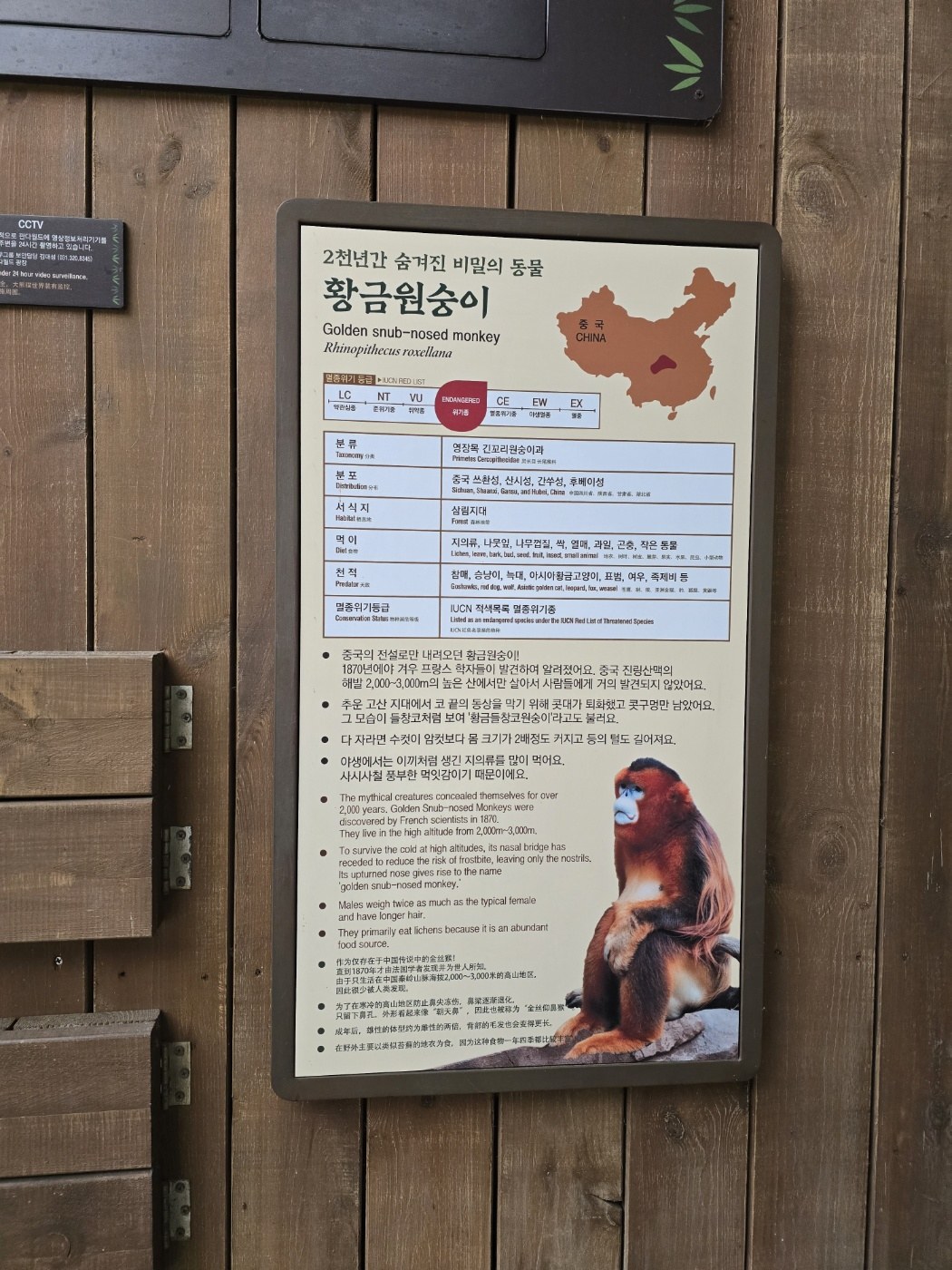 에버랜드 판다월드 황금원숭이 안내판